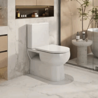 Moi Back To Wall Toilet Suite ***BOTTOM INLET ONLY Left or Right***